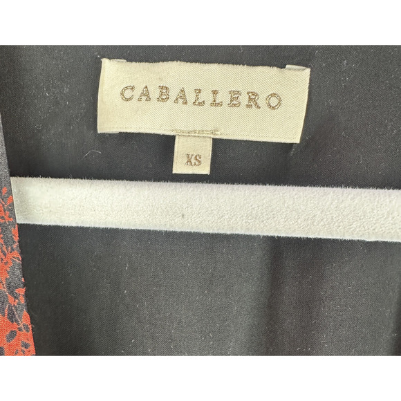 Anthropologie x Caballero Silky Abstract Wrap Midi Dress Red & Black Anthro XS - Picture 4 of 16